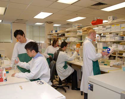 In the lab, Associate Professor Allison Cowin’s team from left, Huater Chan, Tony Lin, Xanthe Strudwick, Zlatko Kopecki and Damien Adams