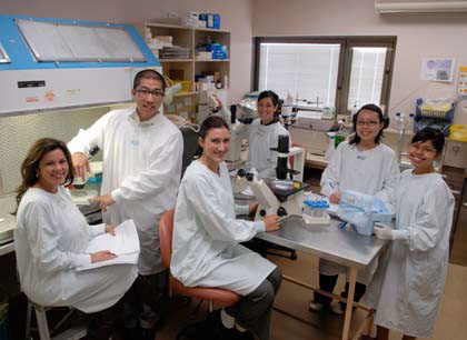 Dr Gargett’s team from left, Isabella Ciurej, Louie Ye, Sonya Hubbard, Tu’uhevaha Kaitu’u-Lino, Hong Nguyen and Erah Anwar