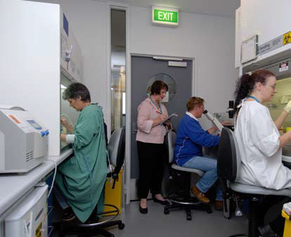 Associate Professor Hedger’s team, from left, Julie Muir, Lynda Foulds, Anne O’Connor and Dr Wendy Winnall