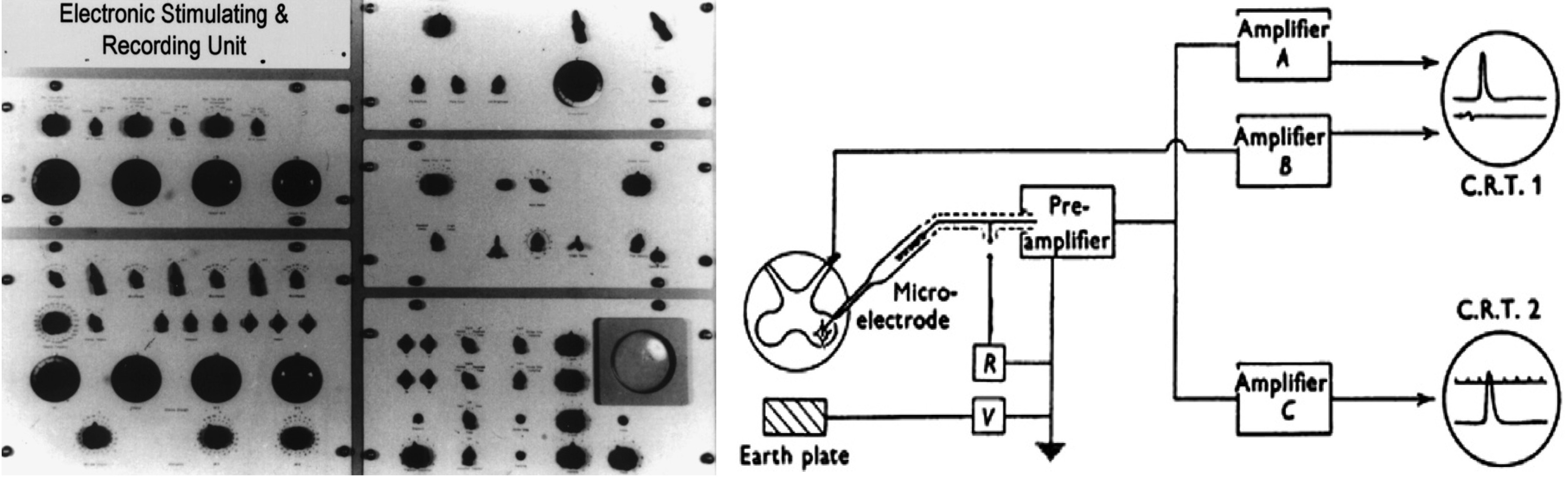 A photograph of the front panel of the Electronic Stimulating and Recording Unit, and a schematic representation of the 1951 experiment to record potentials from motor-neurones with an intracellular electrode.