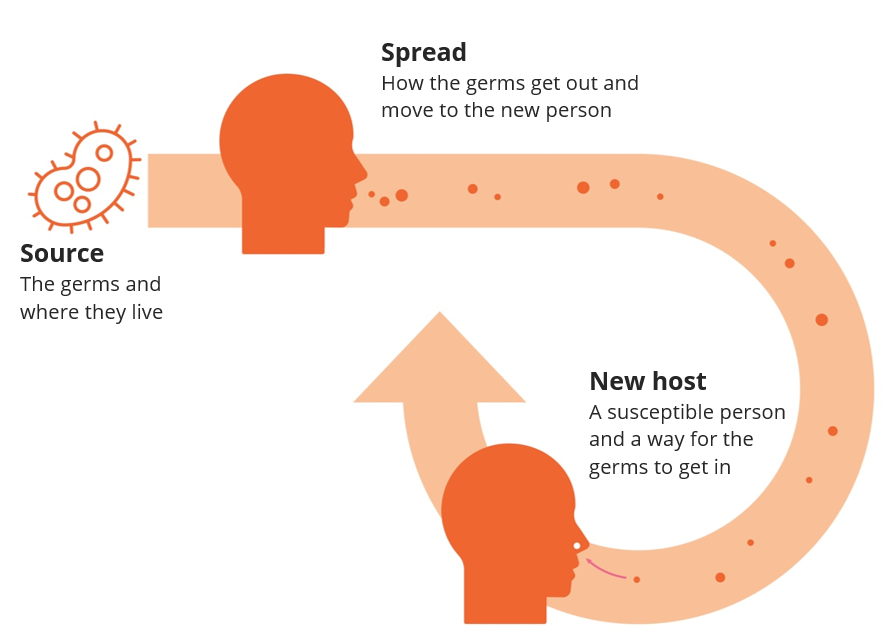 Figure of chain of infection. 1. Source (the germs and where they live). 2. Spread (How the germs get out and move to the new person. 3. New host (a susceptible person and a way for the germs to get in.