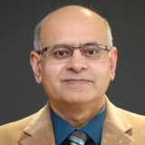 Professor Dinesh K Arya